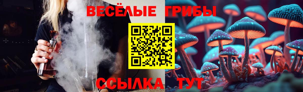 Псилоцибиновые грибы мицелий Рубцовск